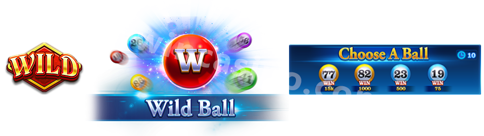 Fortune Bingo Wild Ball Background
